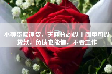 小额贷款速贷，芝麻分650以上哪里可以贷款，负债也能借，不看工作