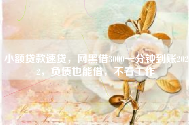 小额贷款速贷，网黑借3000一分钟到账2022，负债也能借，不看工作