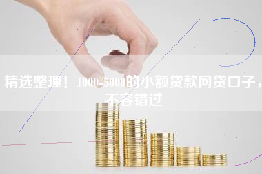 精选整理！1000-5000的小额贷款网贷口子，不容错过