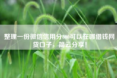 整理一份微信信用分600可以在哪借钱网贷口子，简云分享！