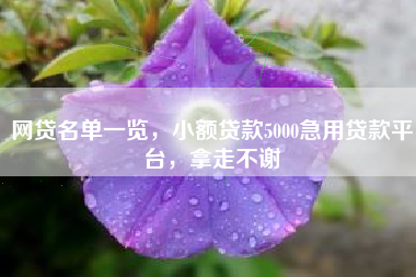 网贷名单一览，小额贷款5000急用贷款平台，拿走不谢