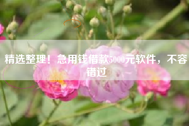精选整理！急用钱借款5000元软件，不容错过