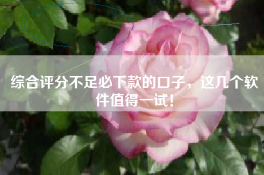 综合评分不足必下款的口子，这几个软件值得一试！
