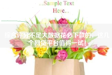 综合评分不足大数据花必下款的，这几个网贷平台值得一试！