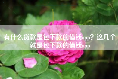 有什么贷款是包下款的借钱app？这几个就是包下款的借钱app