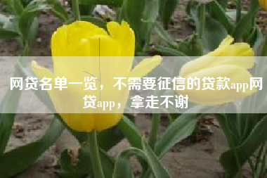 网贷名单一览，不需要征信的贷款app网贷app，拿走不谢
