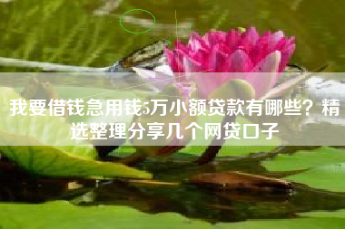 我要借钱急用钱5万小额贷款有哪些？精选整理分享几个网贷口子