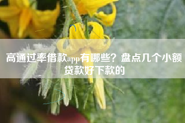 高通过率借款app有哪些？盘点几个小额贷款好下款的
