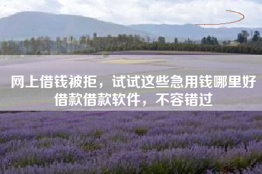 网上借钱被拒，试试这些急用钱哪里好借款借款软件，不容错过