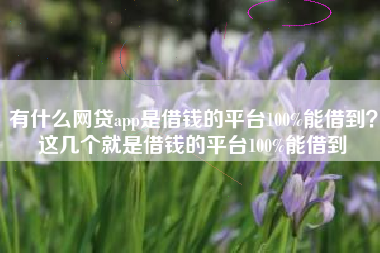 有什么网贷app是借钱的平台100%能借到？这几个就是借钱的平台100%能借到