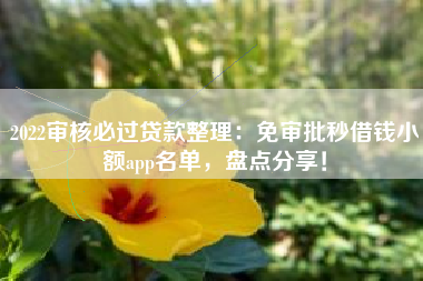 2022审核必过贷款整理：免审批秒借钱小额app名单，盘点分享！