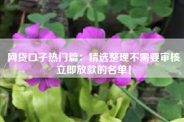 网贷口子热门篇：精选整理不需要审核立即放款的名单！
