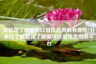 征信花了哪里可以借钱急用啊有哪些?分享几个征信花了哪里可以借钱急用啊平台
