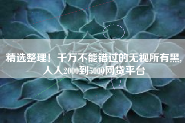 精选整理！千万不能错过的无视所有黑,人人2000到5000网贷平台