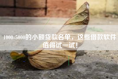 1000-5000的小额贷款名单，这些借款软件值得试一试！