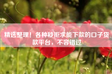 精选整理！各种秒拒求能下款的口子贷款平台，不容错过