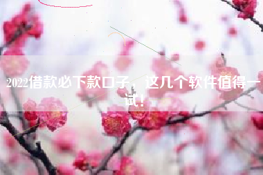 2022借款必下款口子，这几个软件值得一试！