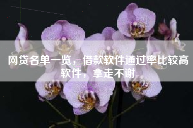 网贷名单一览，借款软件通过率比较高软件，拿走不谢