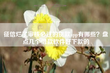征信烂了审核必过的贷款app有哪些？盘点几个借款软件好下款的