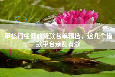 审核门槛低的贷款名单精选，这几个借款平台亲测有效