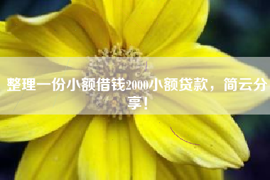 整理一份小额借钱2000小额贷款，简云分享！