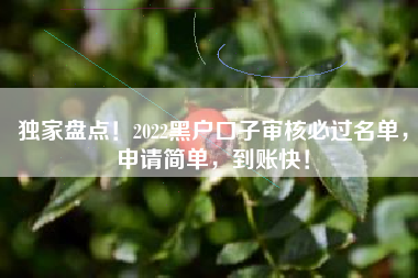 独家盘点！2022黑户口子审核必过名单，申请简单，到账快！