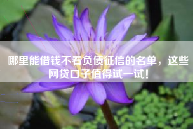 哪里能借钱不看负债征信的名单，这些网贷口子值得试一试！