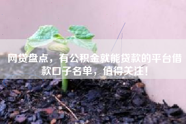网贷盘点，有公积金就能贷款的平台借款口子名单，值得关注！
