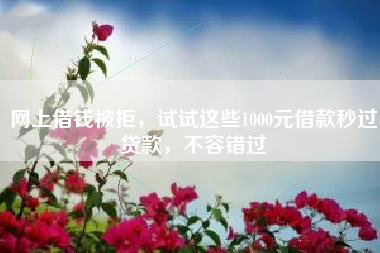 网上借钱被拒，试试这些1000元借款秒过贷款，不容错过