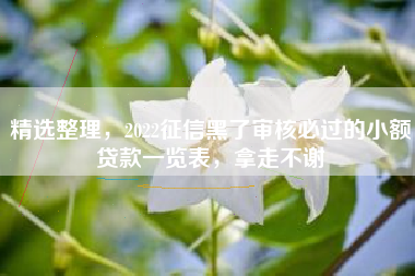精选整理，2022征信黑了审核必过的小额贷款一览表，拿走不谢