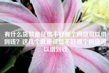有什么贷款是征信不好哪个网贷可以借到钱？这几个就是征信不好哪个网贷可以借到钱