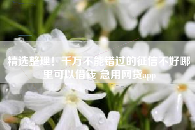 精选整理！千万不能错过的征信不好哪里可以借钱 急用网贷app