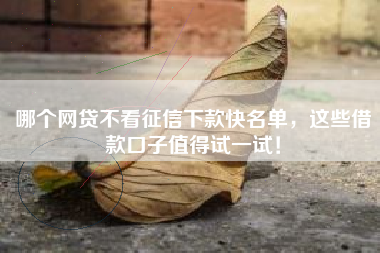 哪个网贷不看征信下款快名单，这些借款口子值得试一试！