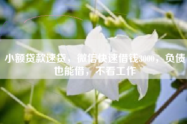 小额贷款速贷，微信快速借钱3000，负债也能借，不看工作