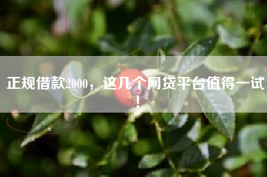 正规借款2000，这几个网贷平台值得一试！