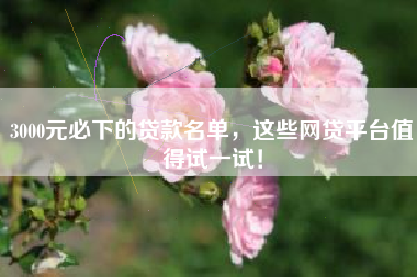 3000元必下的贷款名单，这些网贷平台值得试一试！