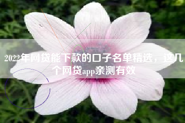 2022年网贷能下款的口子名单精选，这几个网贷app亲测有效