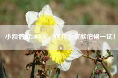 小额借款3000元，这几个贷款值得一试！