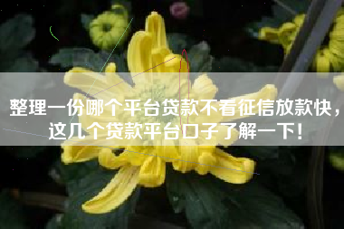 整理一份哪个平台贷款不看征信放款快，这几个贷款平台口子了解一下！
