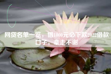 网贷名单一览，借1000元必下款2022借款口子，拿走不谢