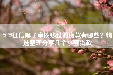 2022征信黑了审核必过的贷款有哪些？精选整理分享几个小额贷款