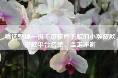 精选整理一份不审核秒下款的小额贷款贷款平台名单，拿走不谢