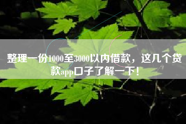 整理一份1000至3000以内借款，这几个贷款app口子了解一下！