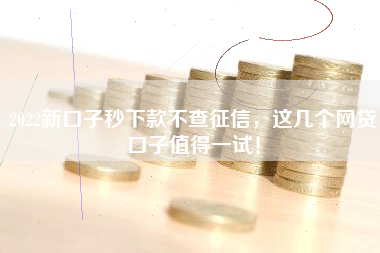 2022新口子秒下款不查征信，这几个网贷口子值得一试！