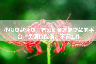 小额贷款速贷，有公积金就能贷款的平台，负债也能借，不看工作