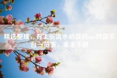 精选整理，有工资流水必贷的app网贷平台一览表，拿走不谢