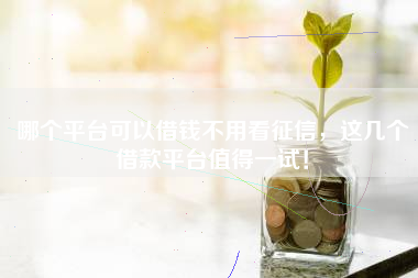 哪个平台可以借钱不用看征信，这几个借款平台值得一试！