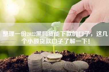 整理一份2022黑网贷能下款的口子，这几个小额贷款口子了解一下！