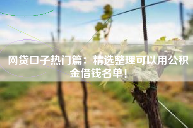 网贷口子热门篇：精选整理可以用公积金借钱名单！