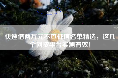 快速借两万元不查征信名单精选，这几个网贷平台实测有效！